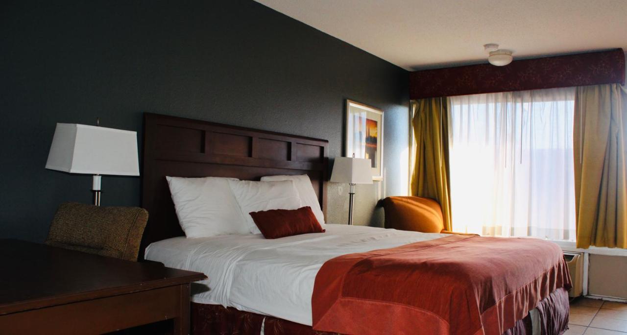 La Vista Inn Port Richey Extérieur photo